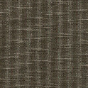 DY1603-10